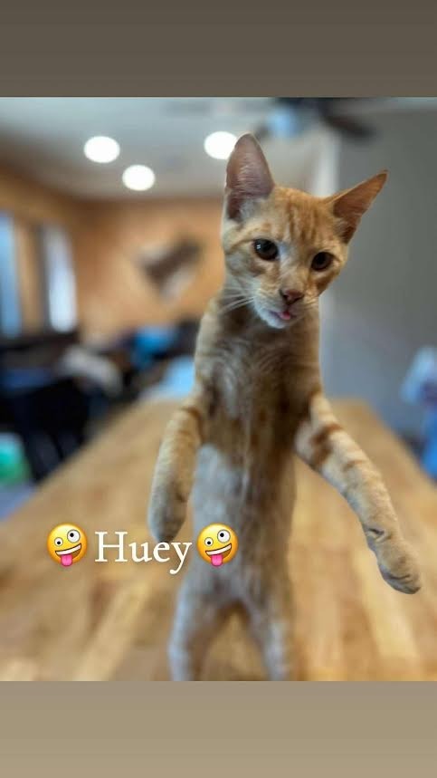 Huey