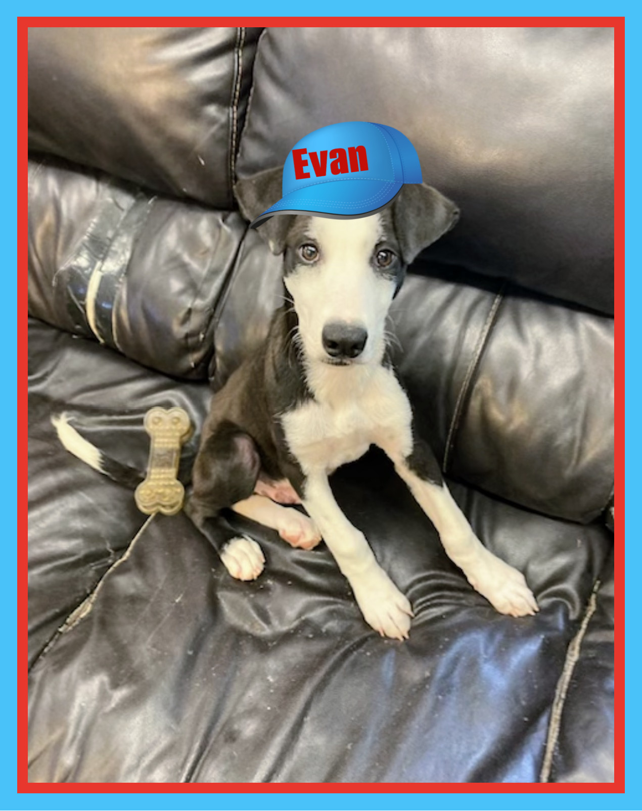 Evan