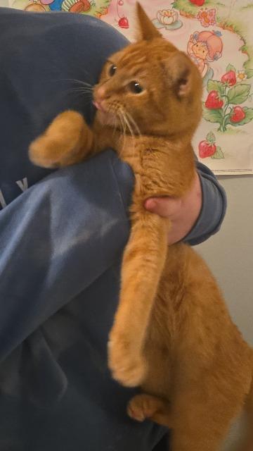 Oscar The Smooch