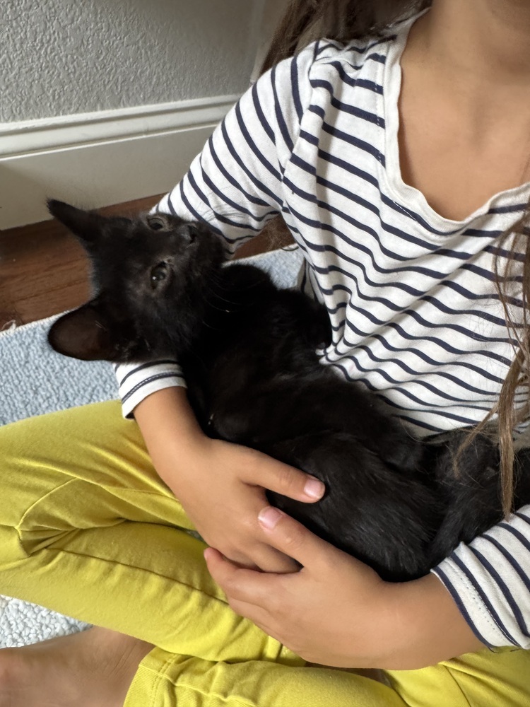 Blackie