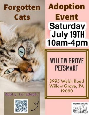 Willow Grove PetSmart July 19 Adoption Event, Young Female unknown