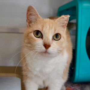 Rumchata, Senior Female unknown