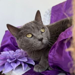 Mizz Fitts (Mora) 55038, Senior Female unknown