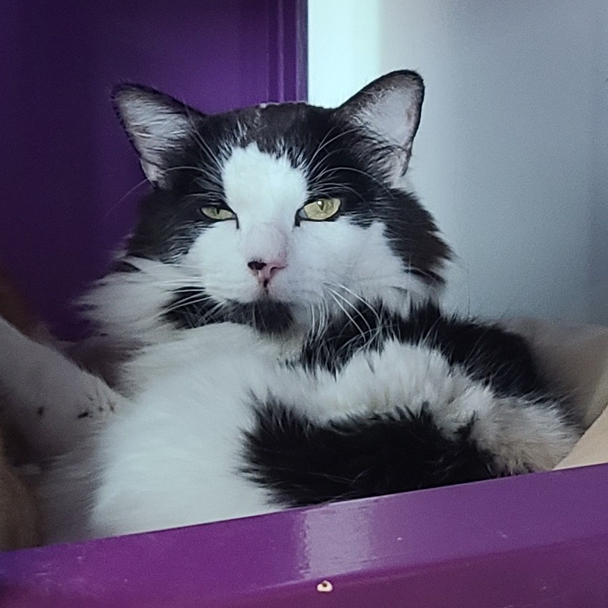 Sammy