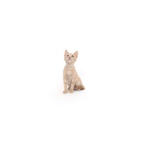 Gobie Domestic Short Hair Cat