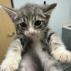 Toby Mack, Baby Male unknown
