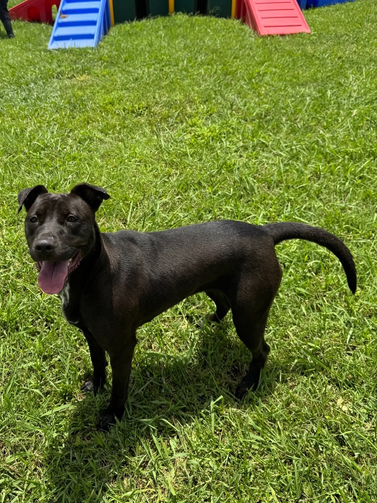 Kida