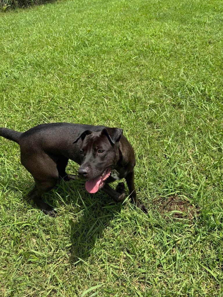 Kida