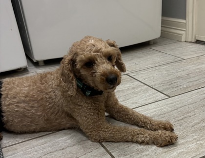 Klondike