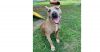 Roxie photo 1