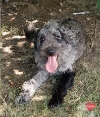 Murphy