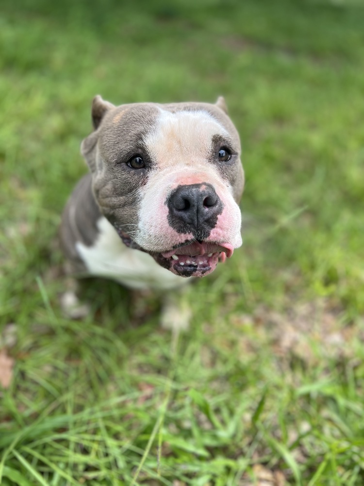 Selma