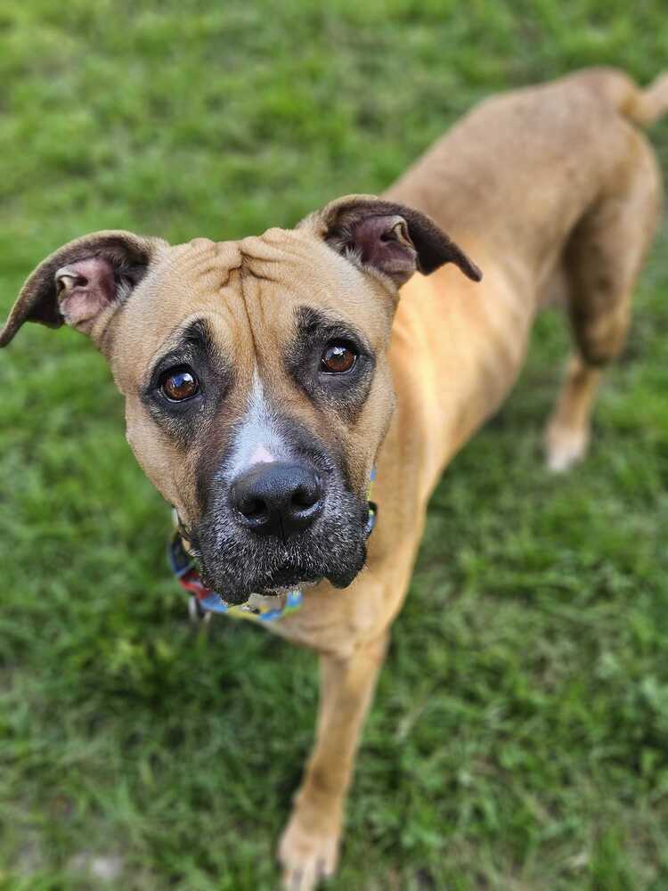 Little Mama