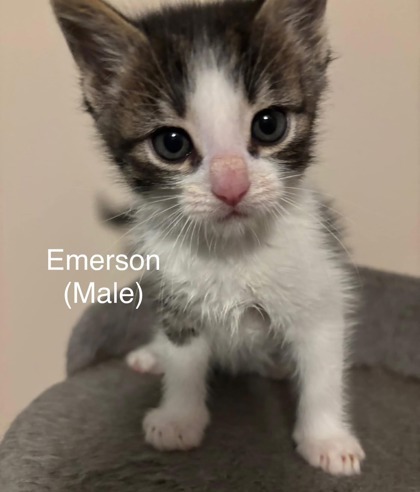 Emerson