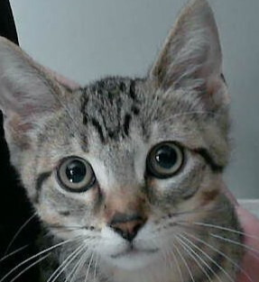 Kairo, Baby Male unknown