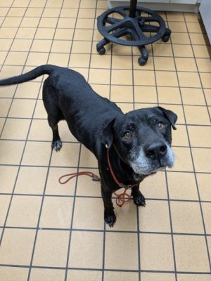 58934223, Senior Male unknown