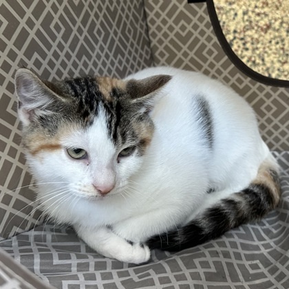 Mia