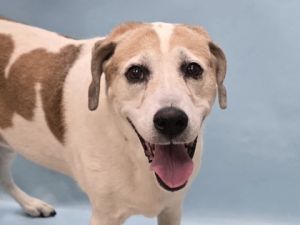 Haley, Senior Female unknown