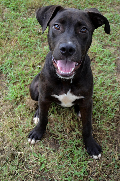 Zeke
