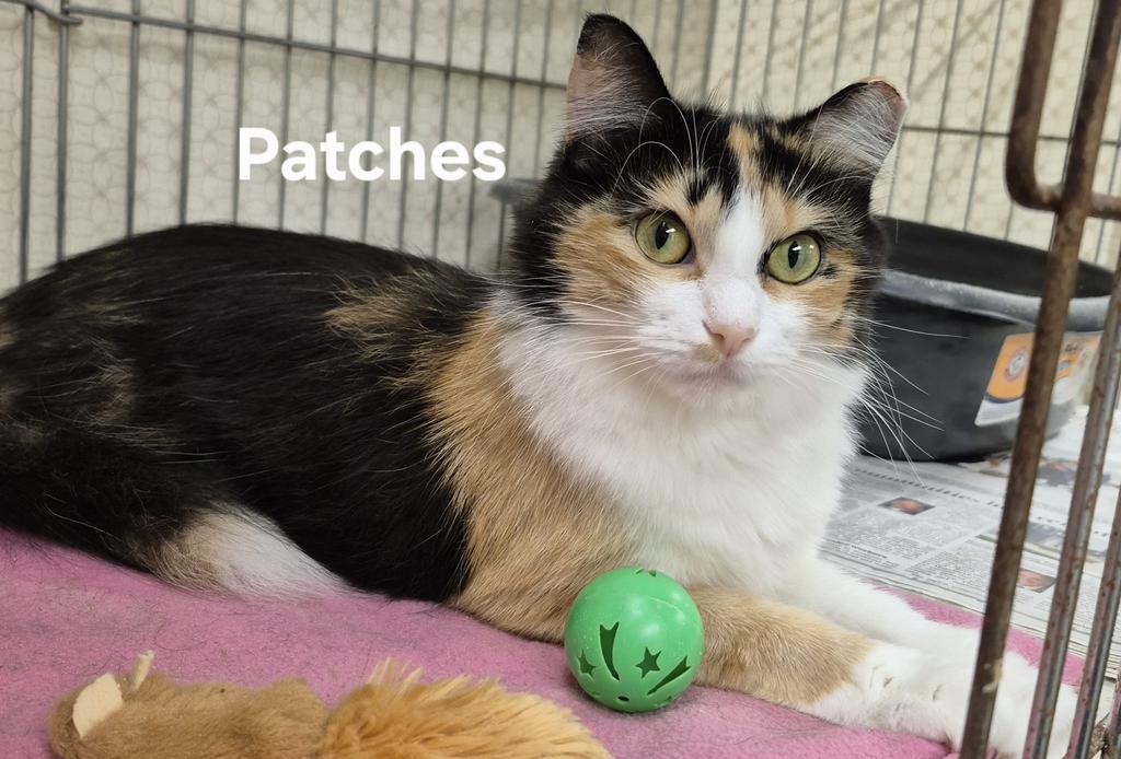 Patches