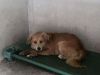 Oakley photo 2