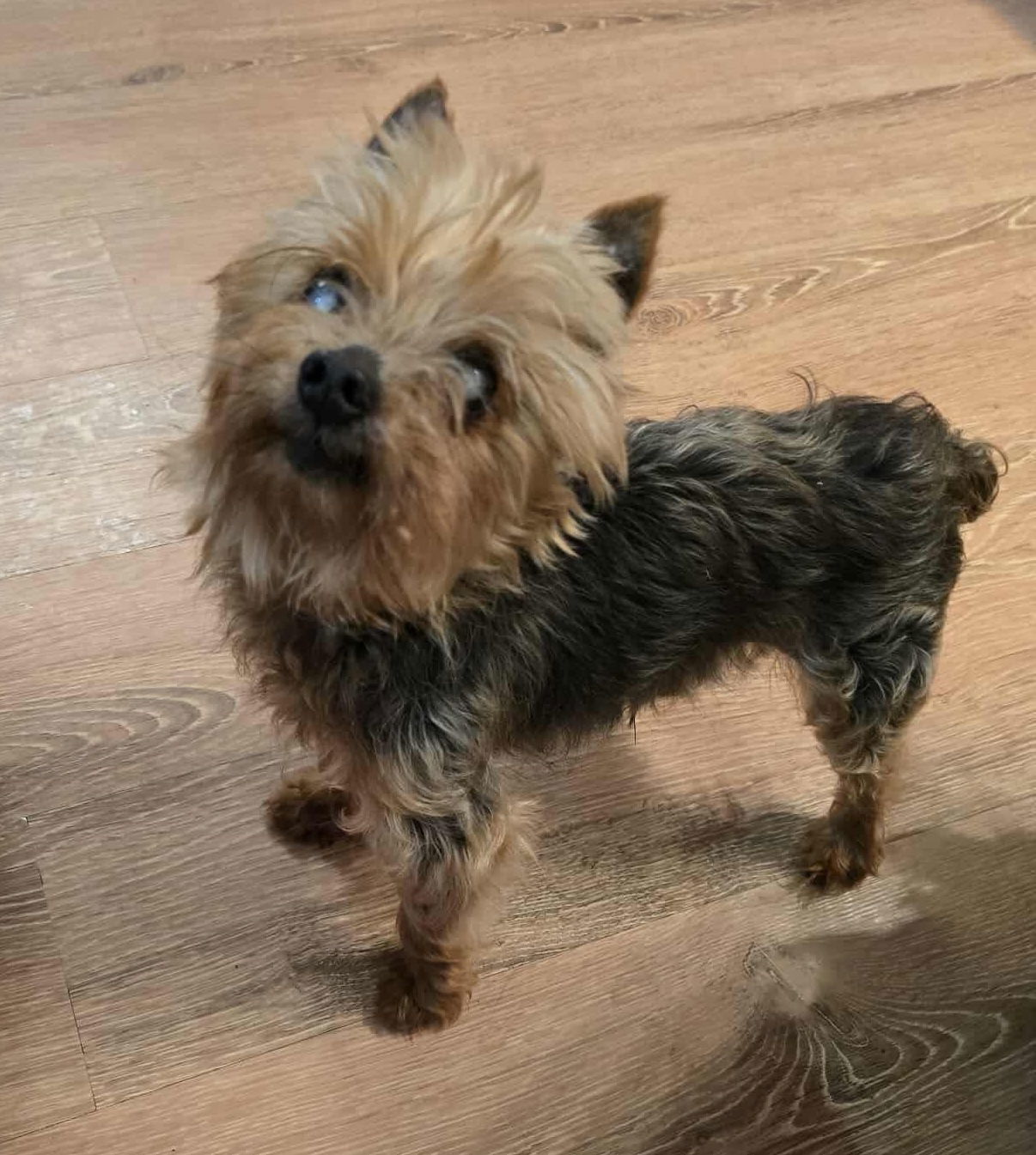 Benny