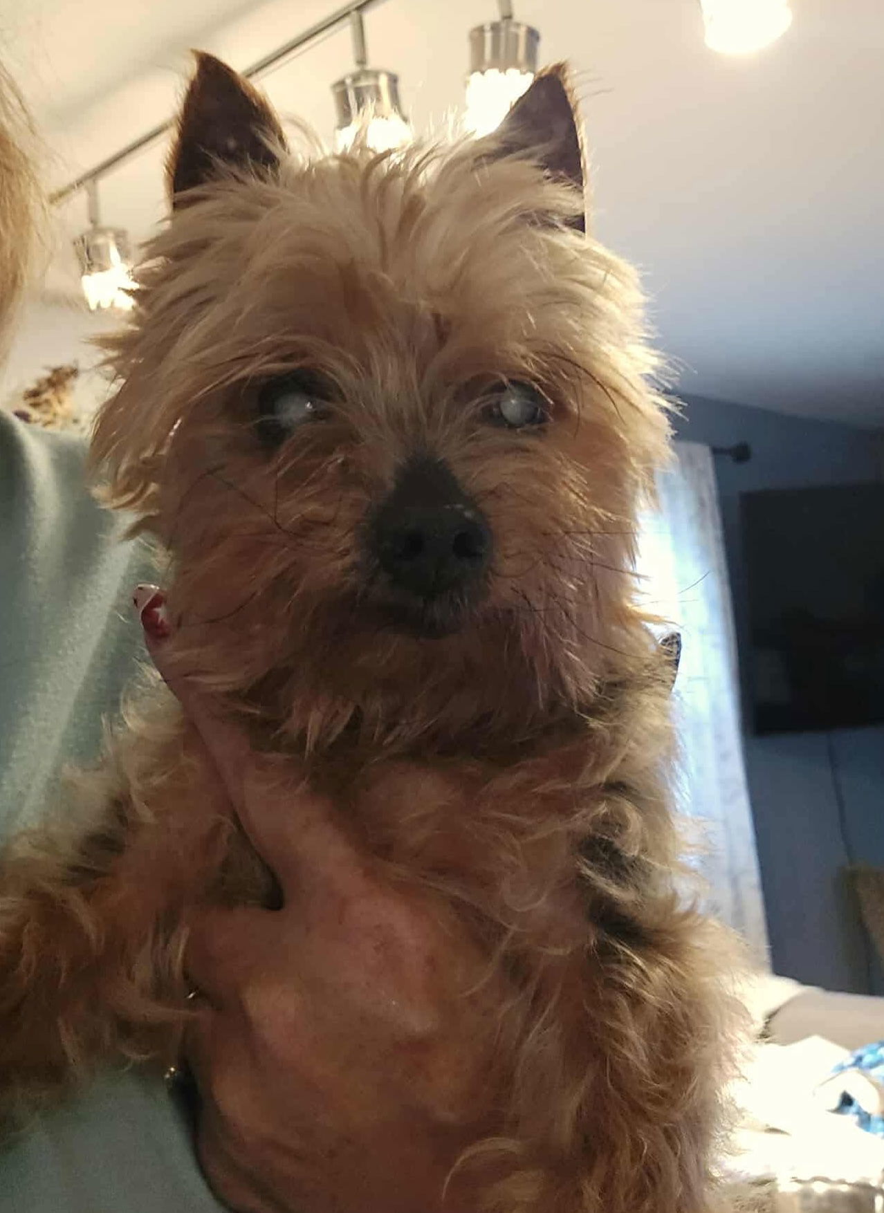 Benny