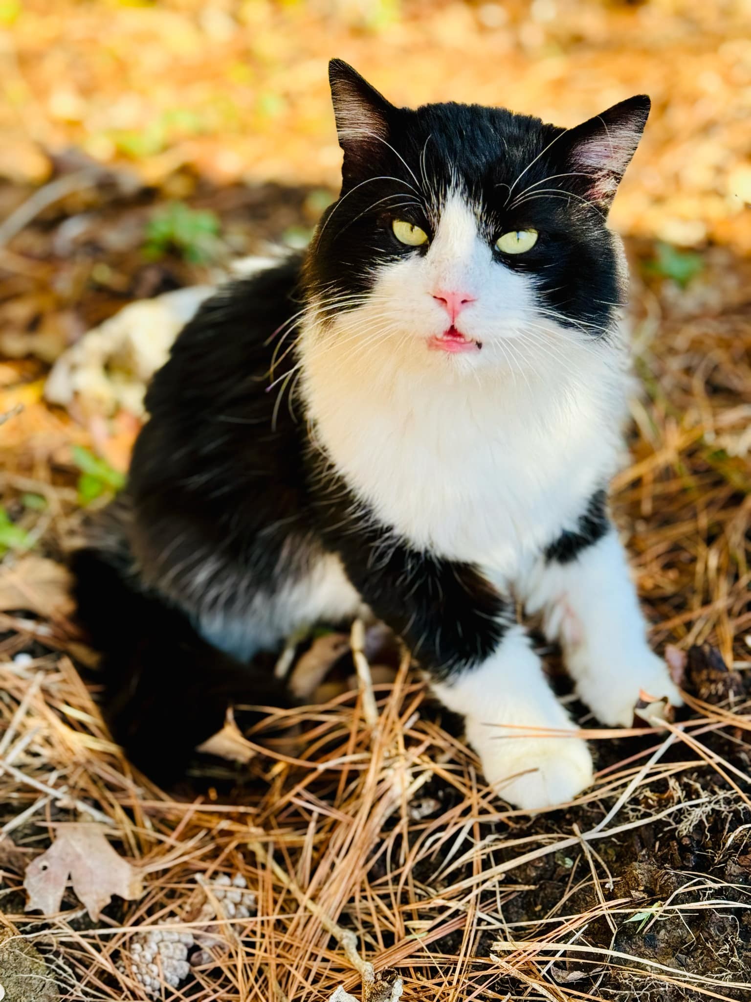 Duncan