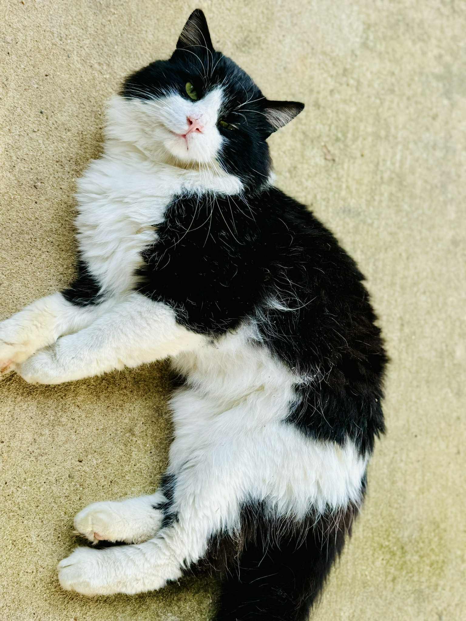 Duncan