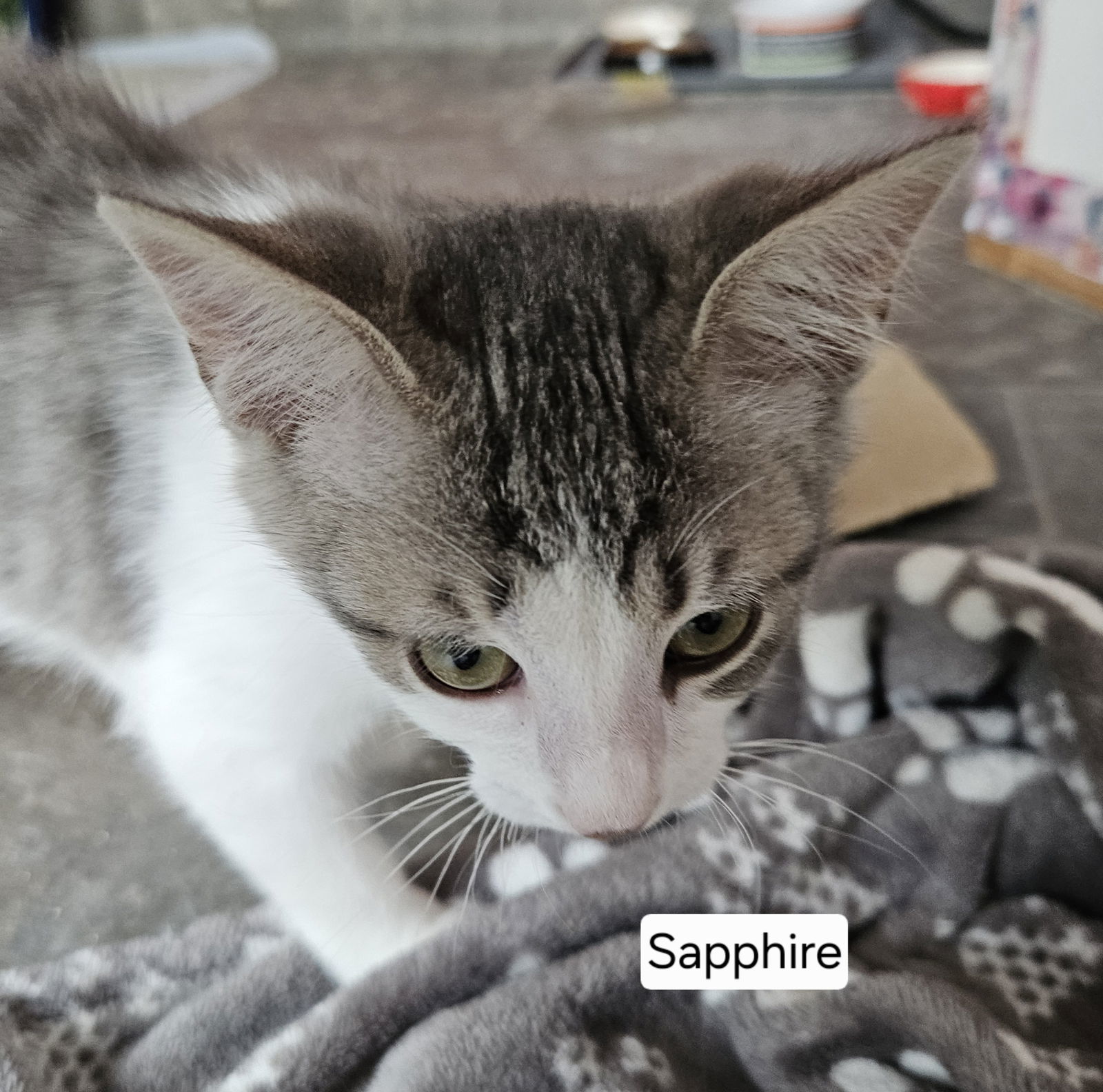Sapphire