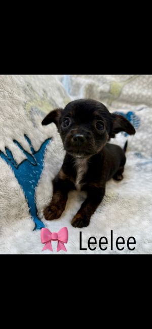 Leelee, Baby Female unknown