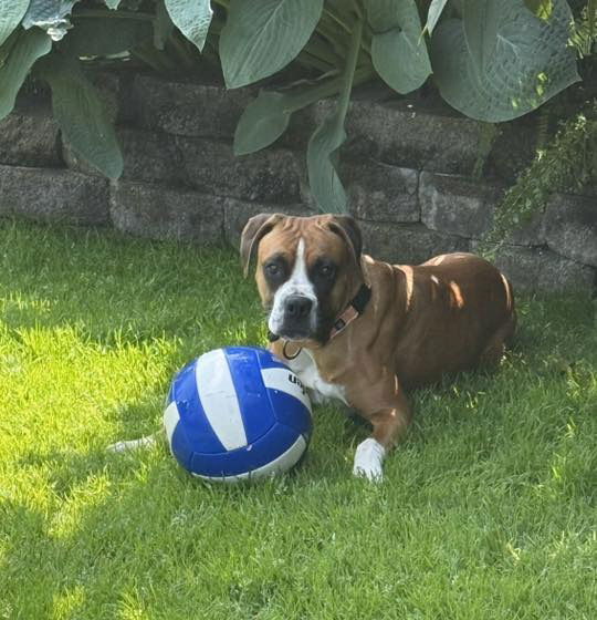 Sadie -