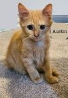 Austin photo 2