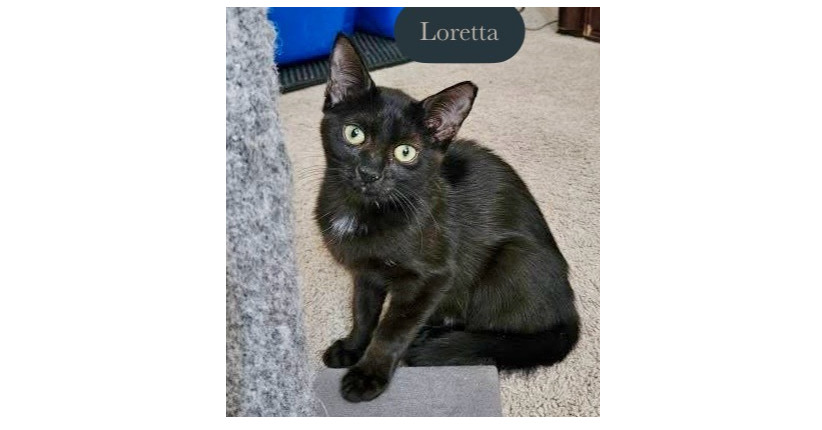 Loretta