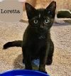 Loretta photo 2