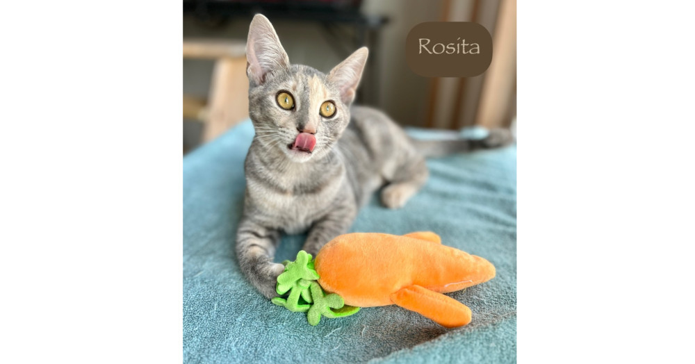 Rosita