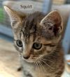 Squirt photo 2