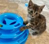 Squirt photo 5