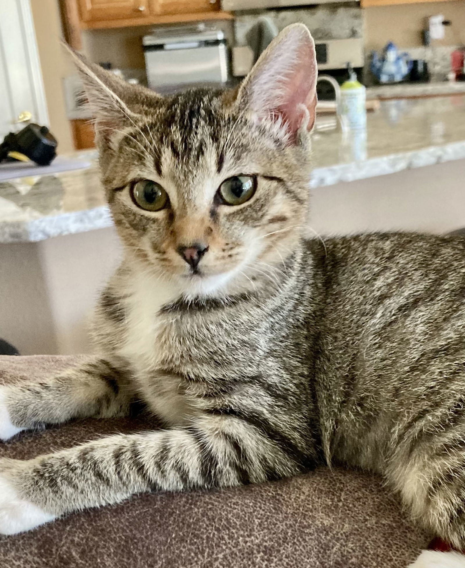 Chloe