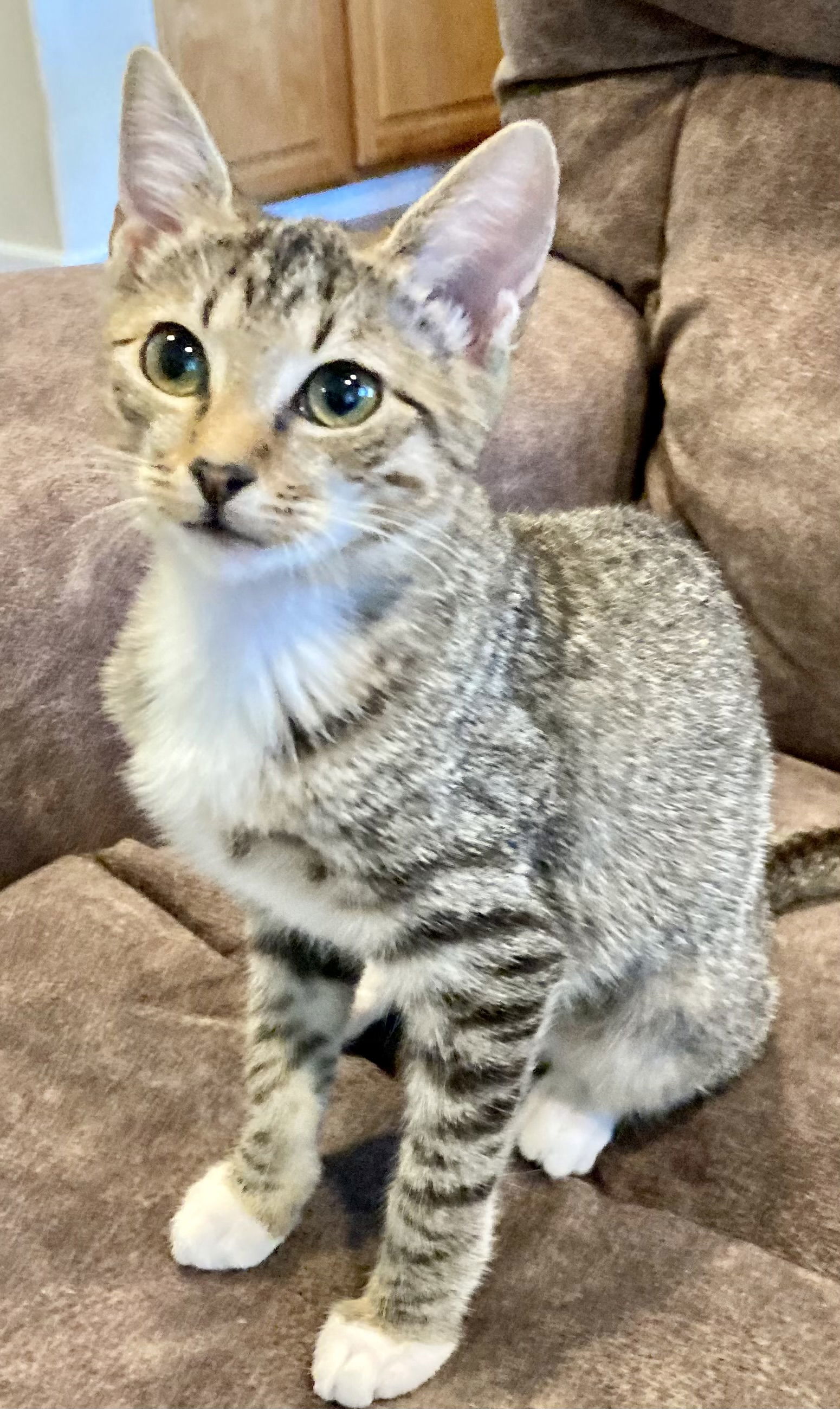 Chloe