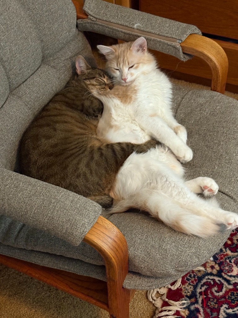 Tigger / Blondie
