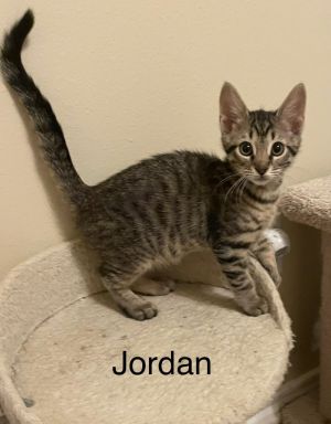 Jordan, Baby Male unknown