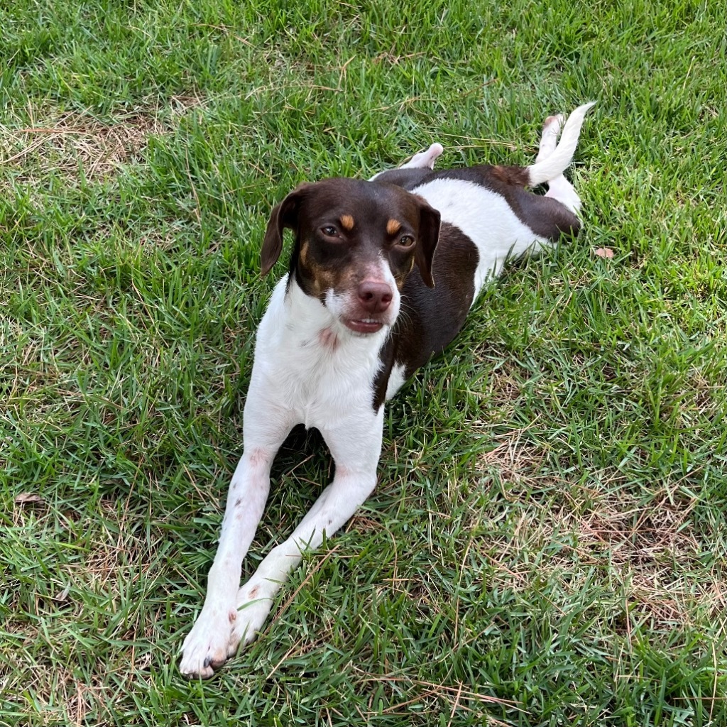 Matilda
