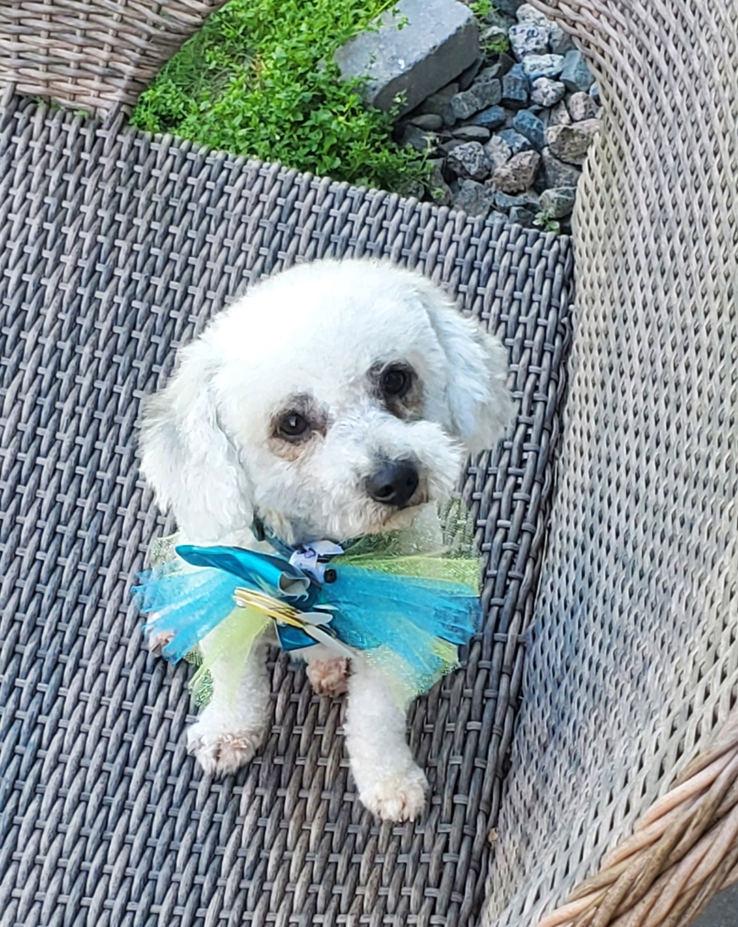 Barkley
