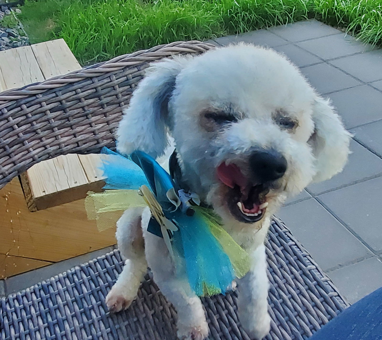 Barkley