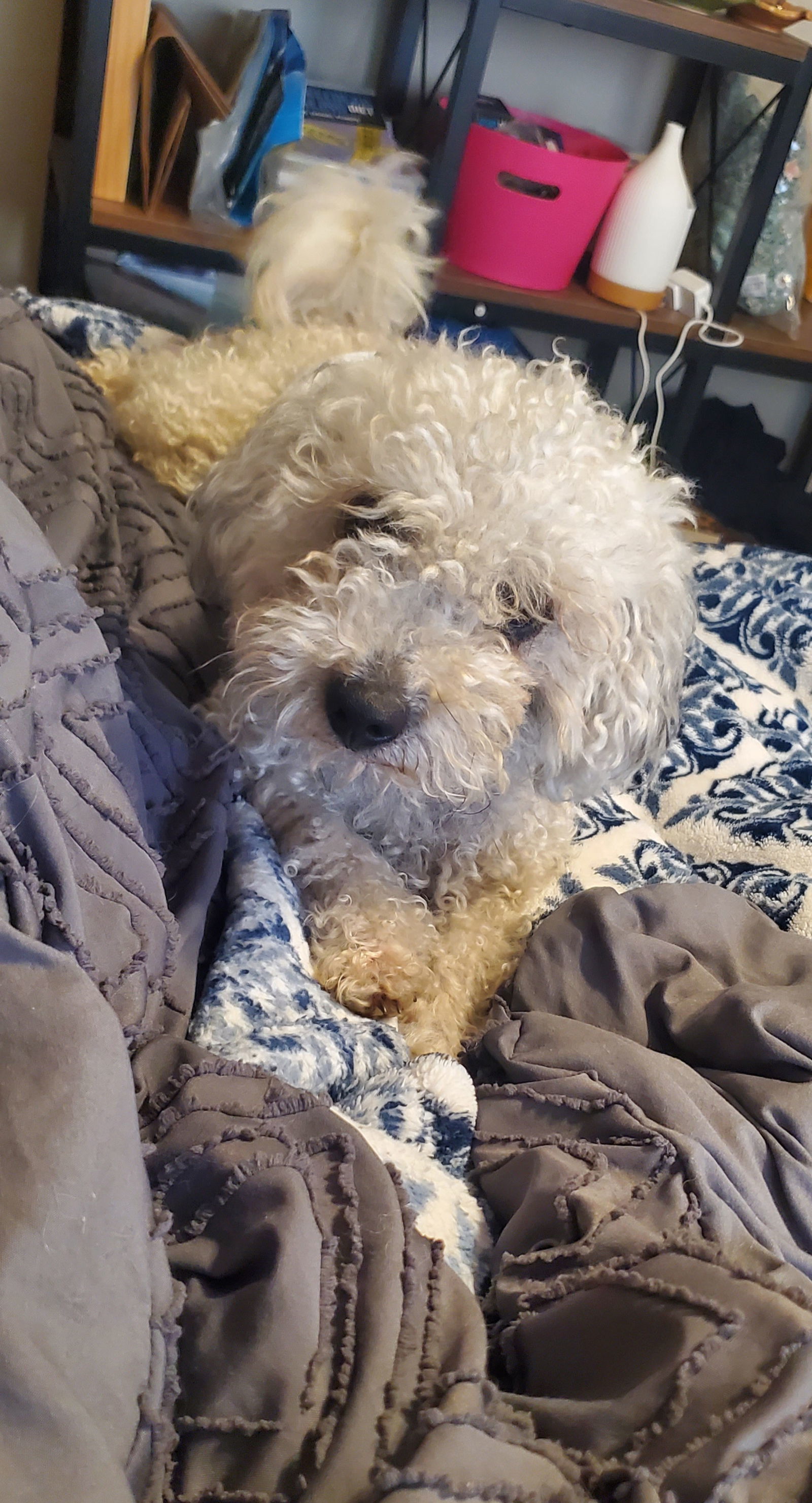 Barkley