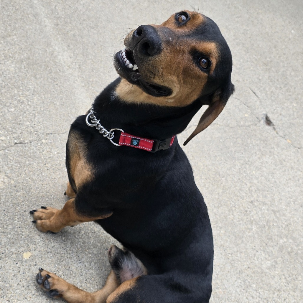 Oscar Meyer