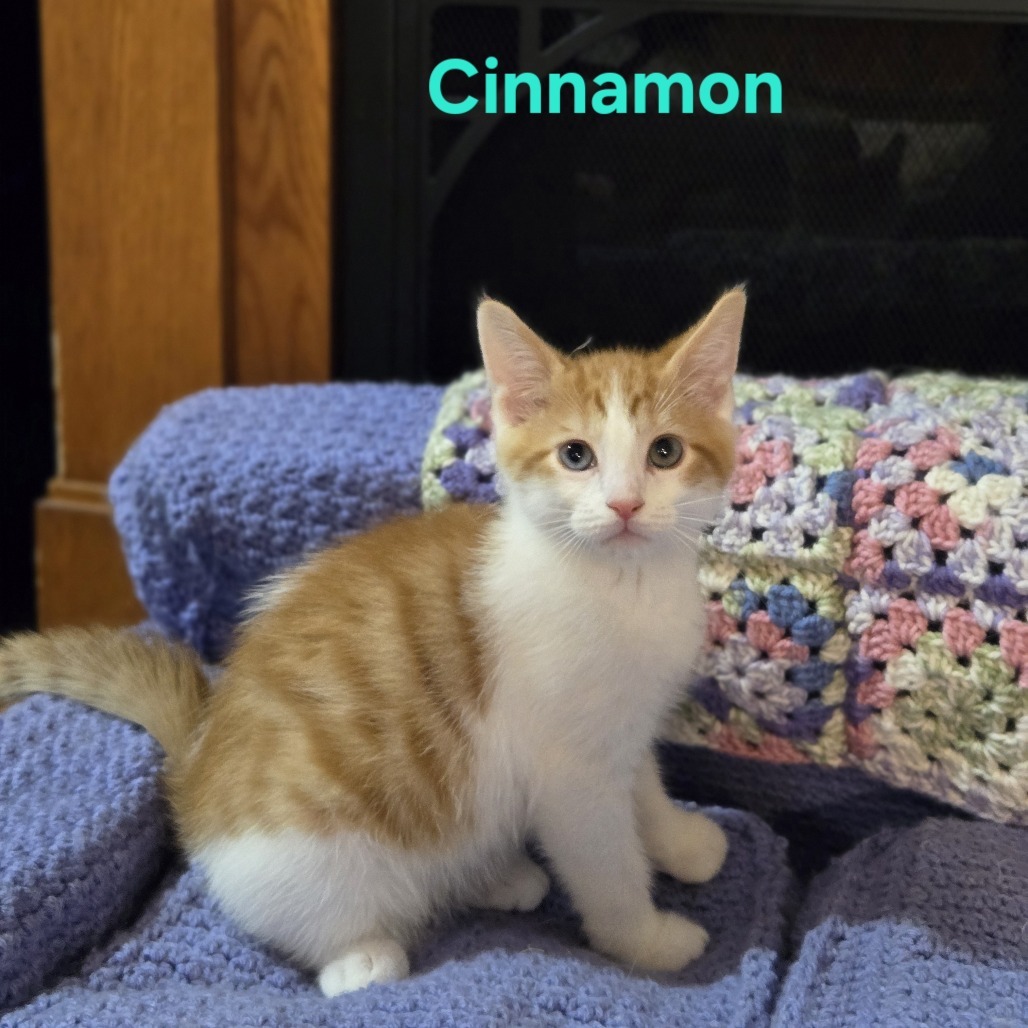 Cinnamon