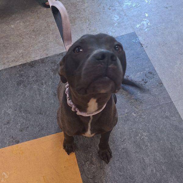 Coco Chanel