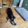 Koda - Home to Home photo 2